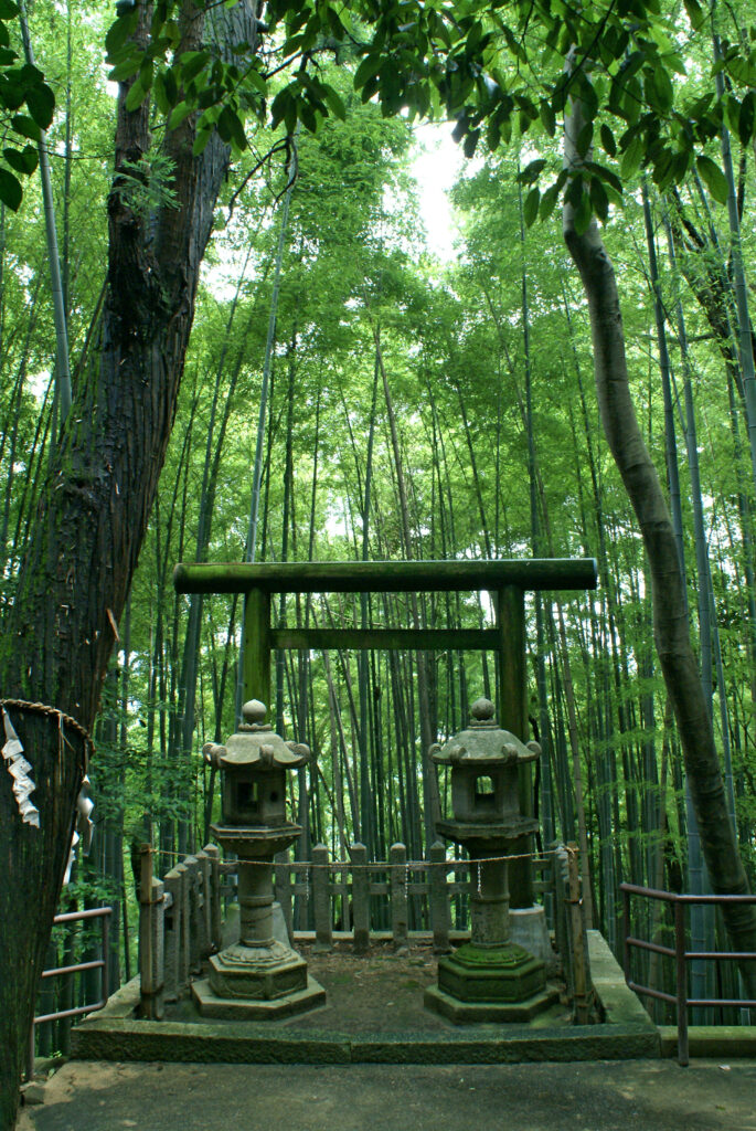 八幡市 石清水八幡宮
