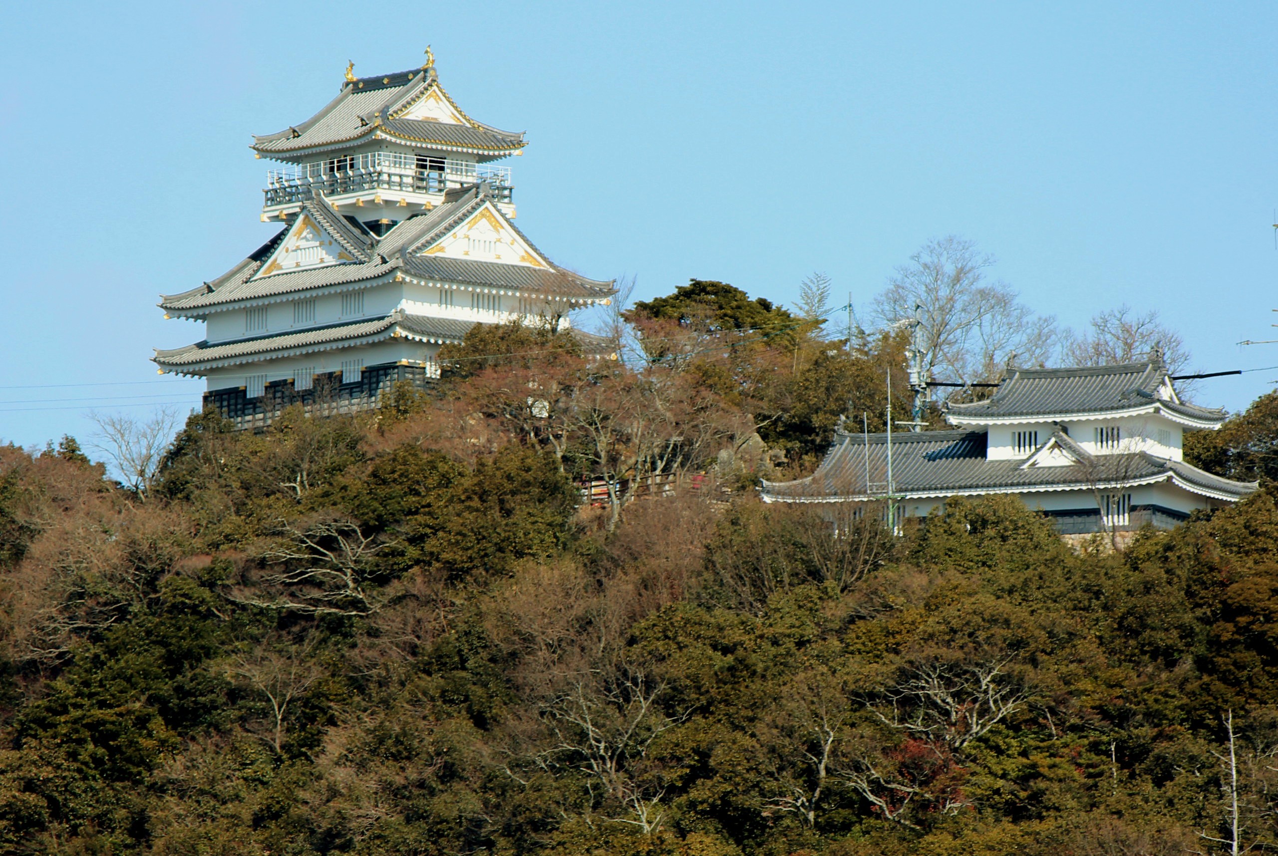 岐阜市 岐阜城