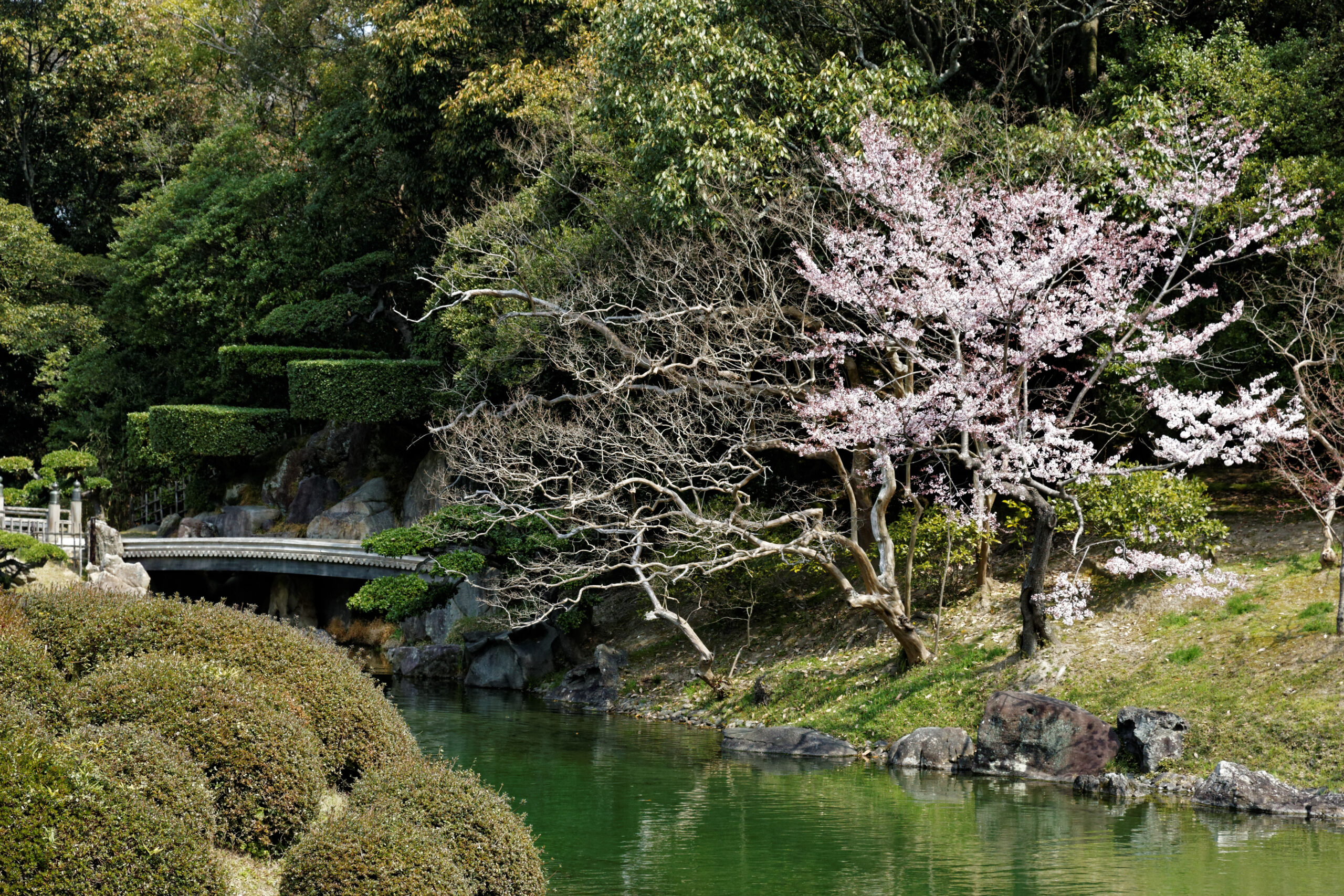 高松市 栗林公園
