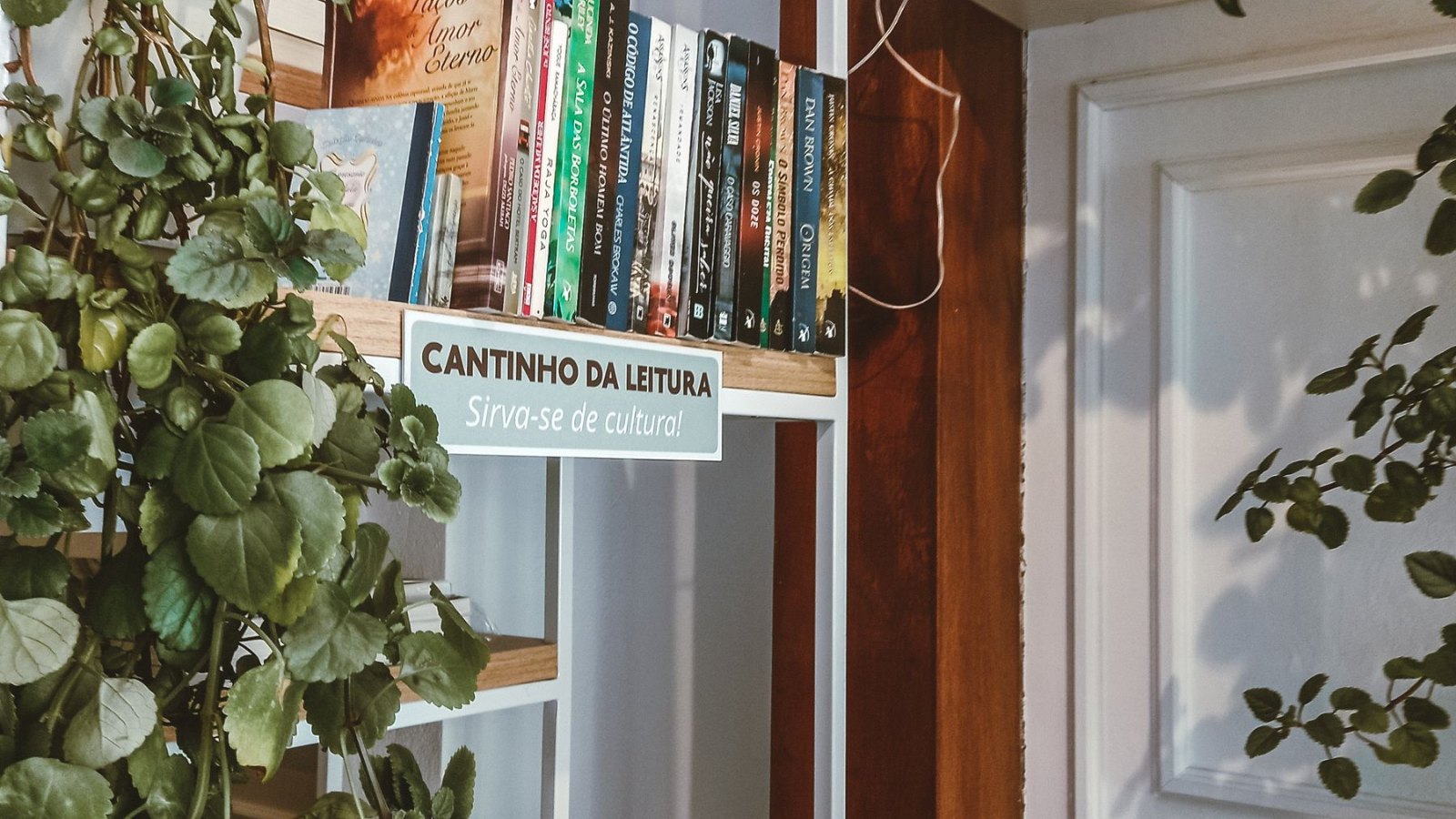 本と観葉植物が並ぶ読書コーナー