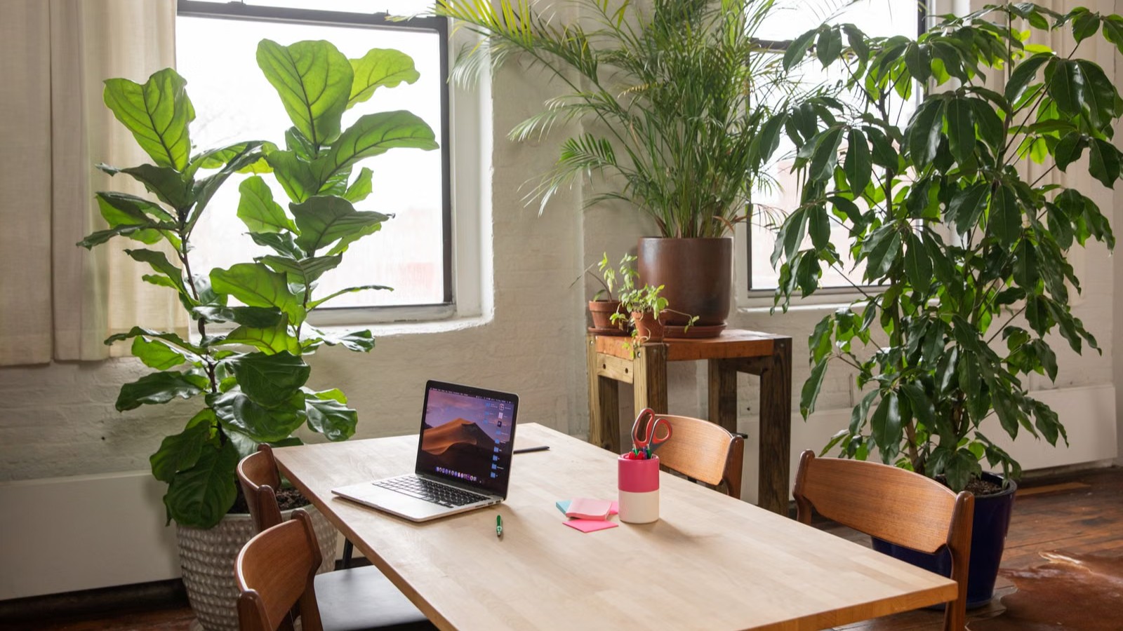 観葉植物のある部屋のテーブル