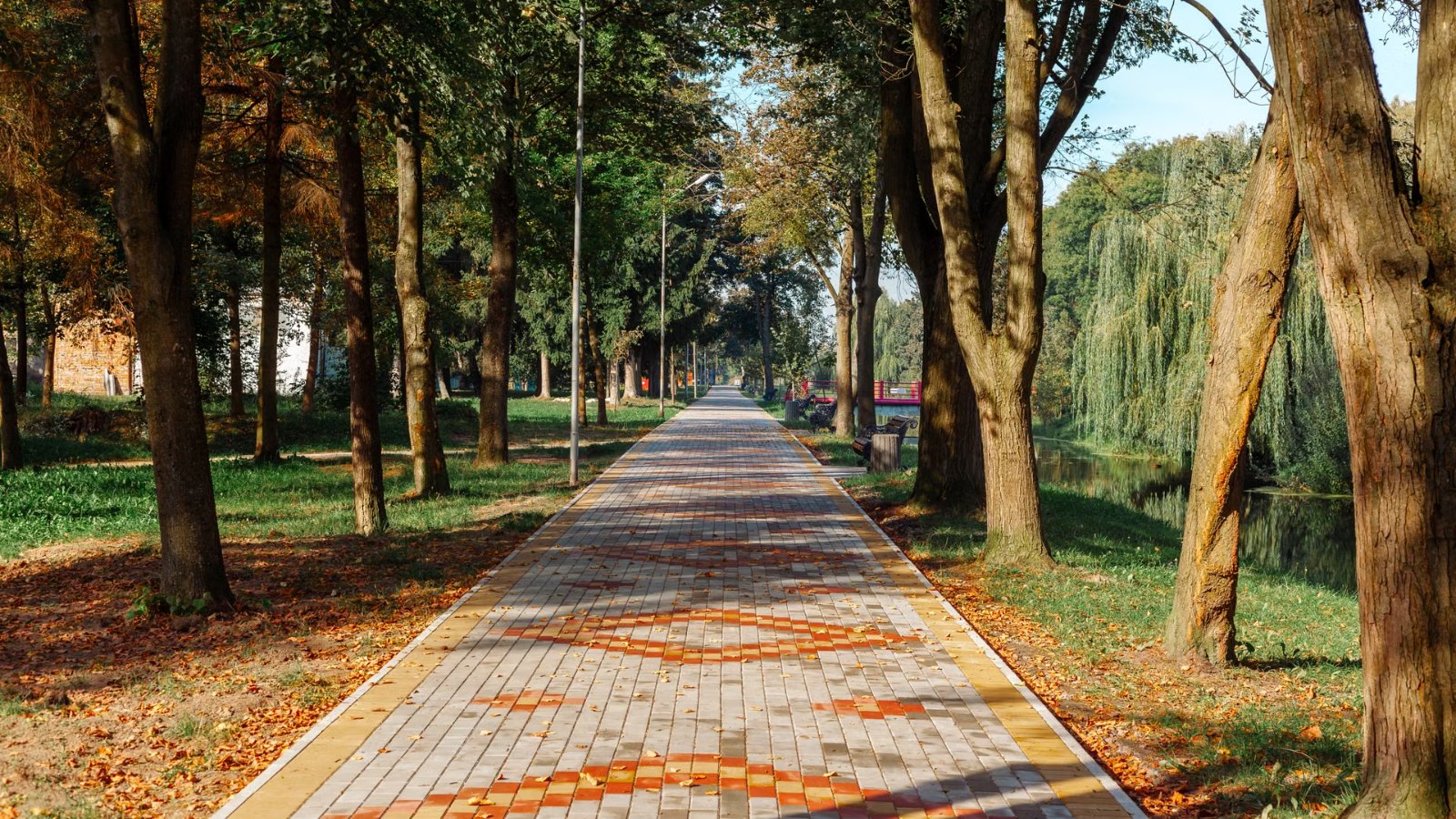 木もれ日の差す公園の小道