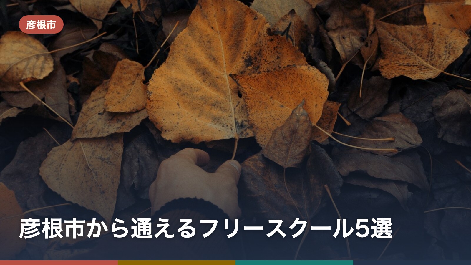 彦根市から通えるフリースクール5選