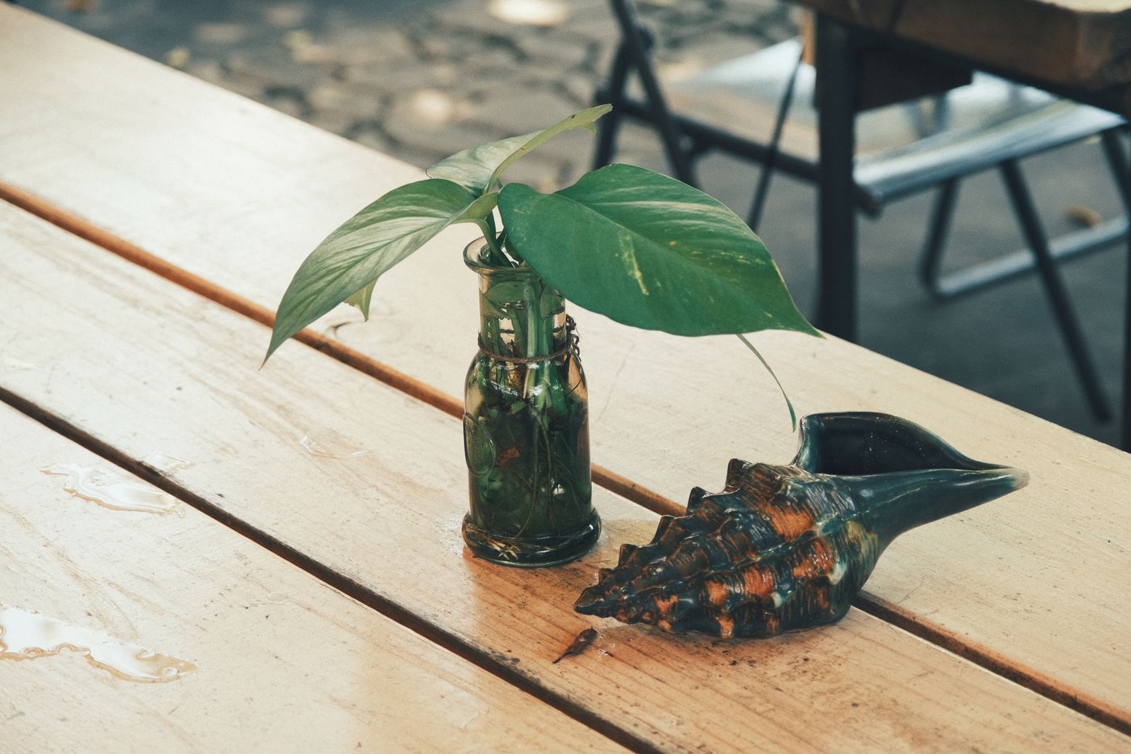 木のテーブルに置かれた一輪挿しの観葉植物