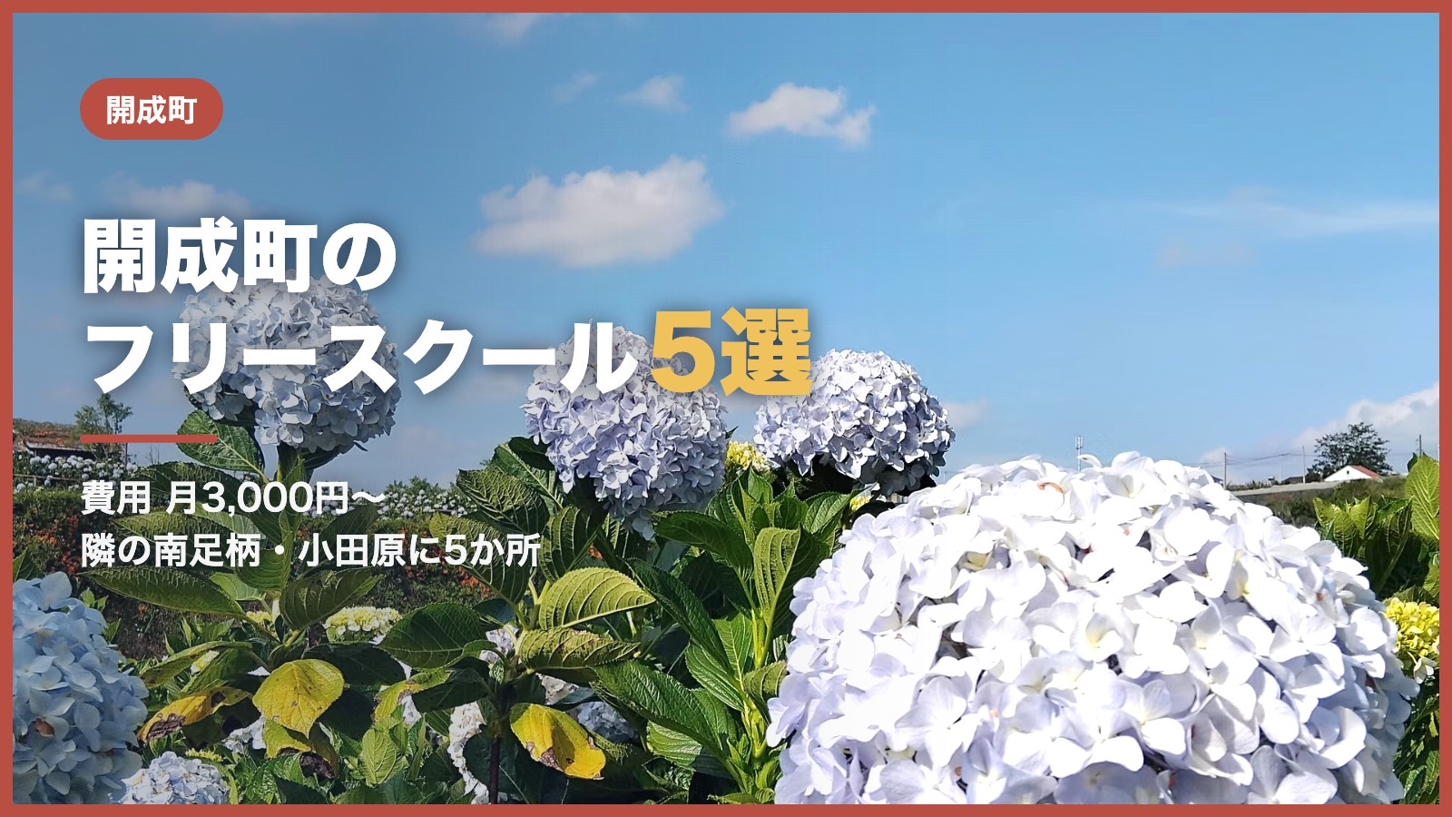 開成町のフリースクール5選（青空とあじさい）
