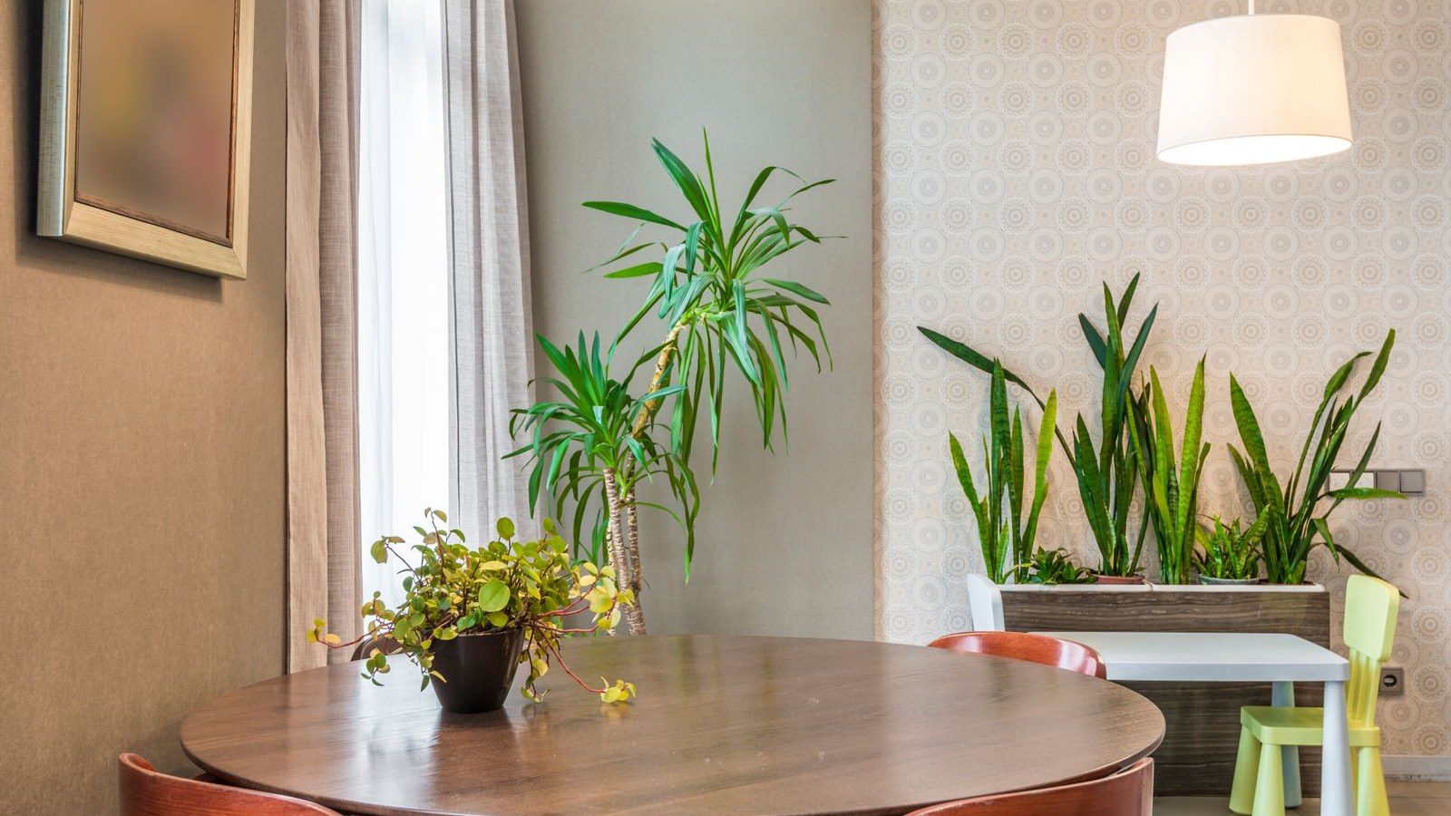 窓辺に観葉植物を置いた木の家具のある部屋