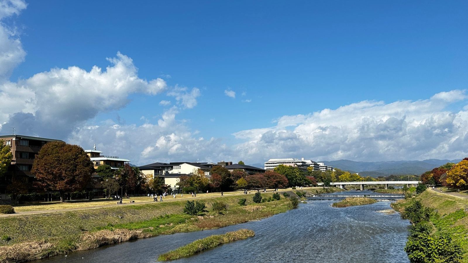 晴れた日の京都・鴨川沿いの風景