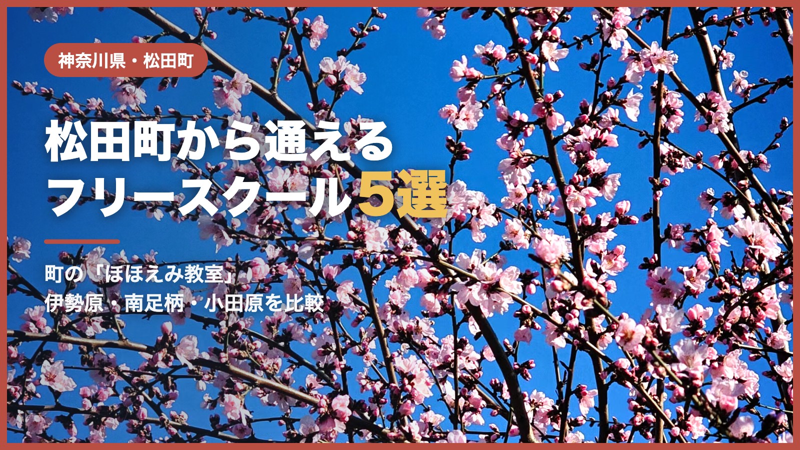 松田町のフリースクール5選（青空と桜の風景）