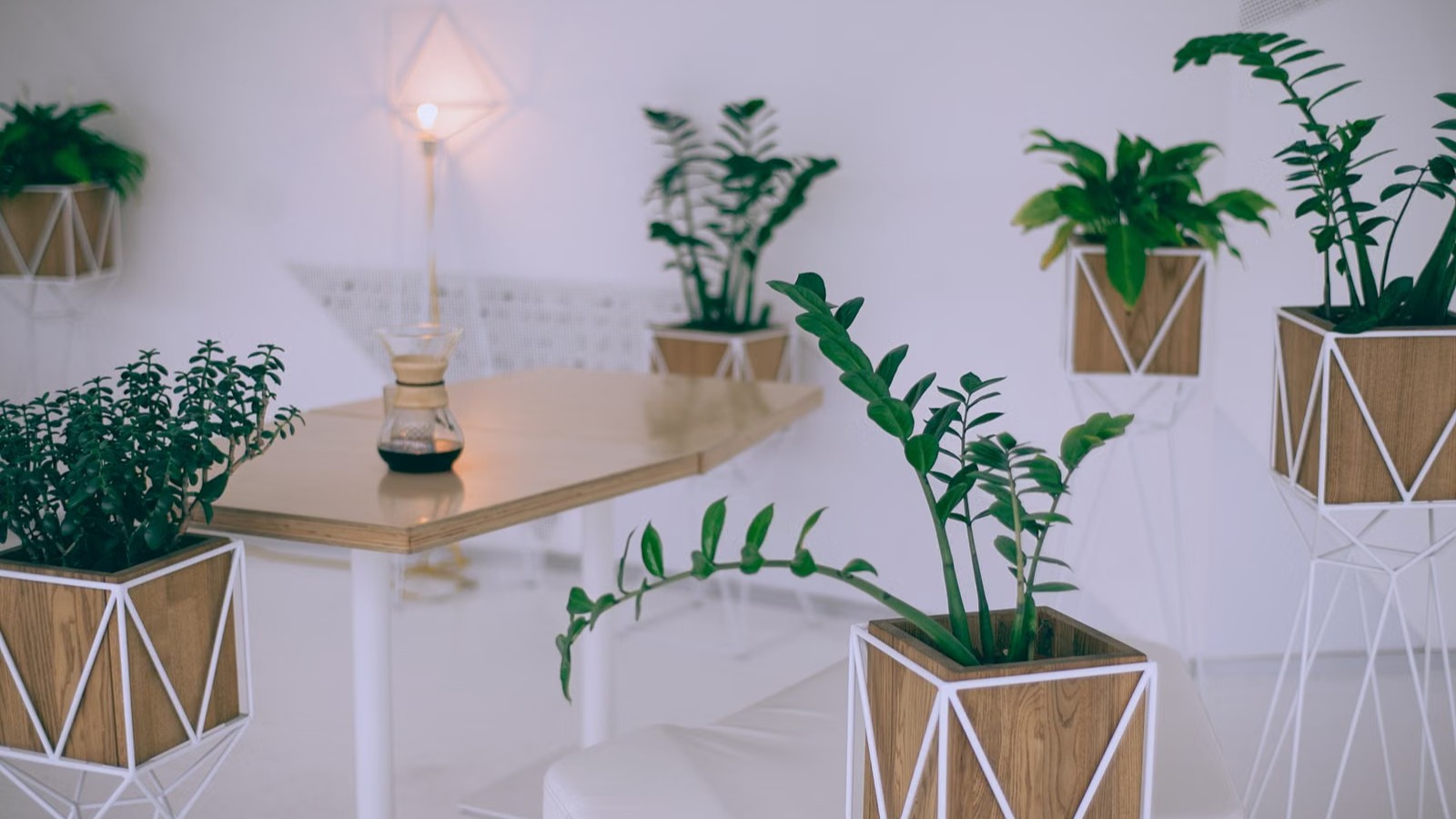 観葉植物のある部屋のテーブル