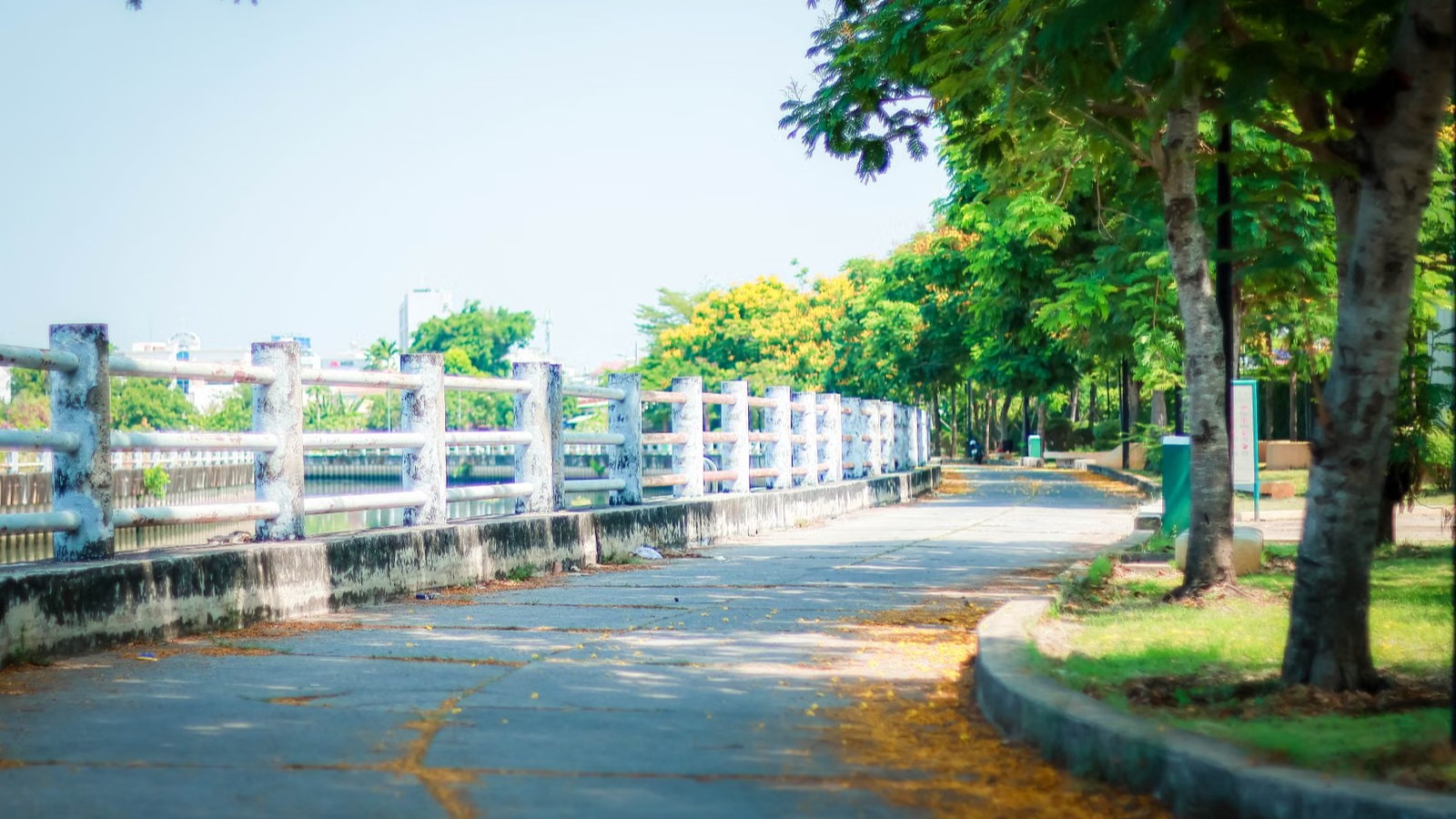 木立が続く公園の小道