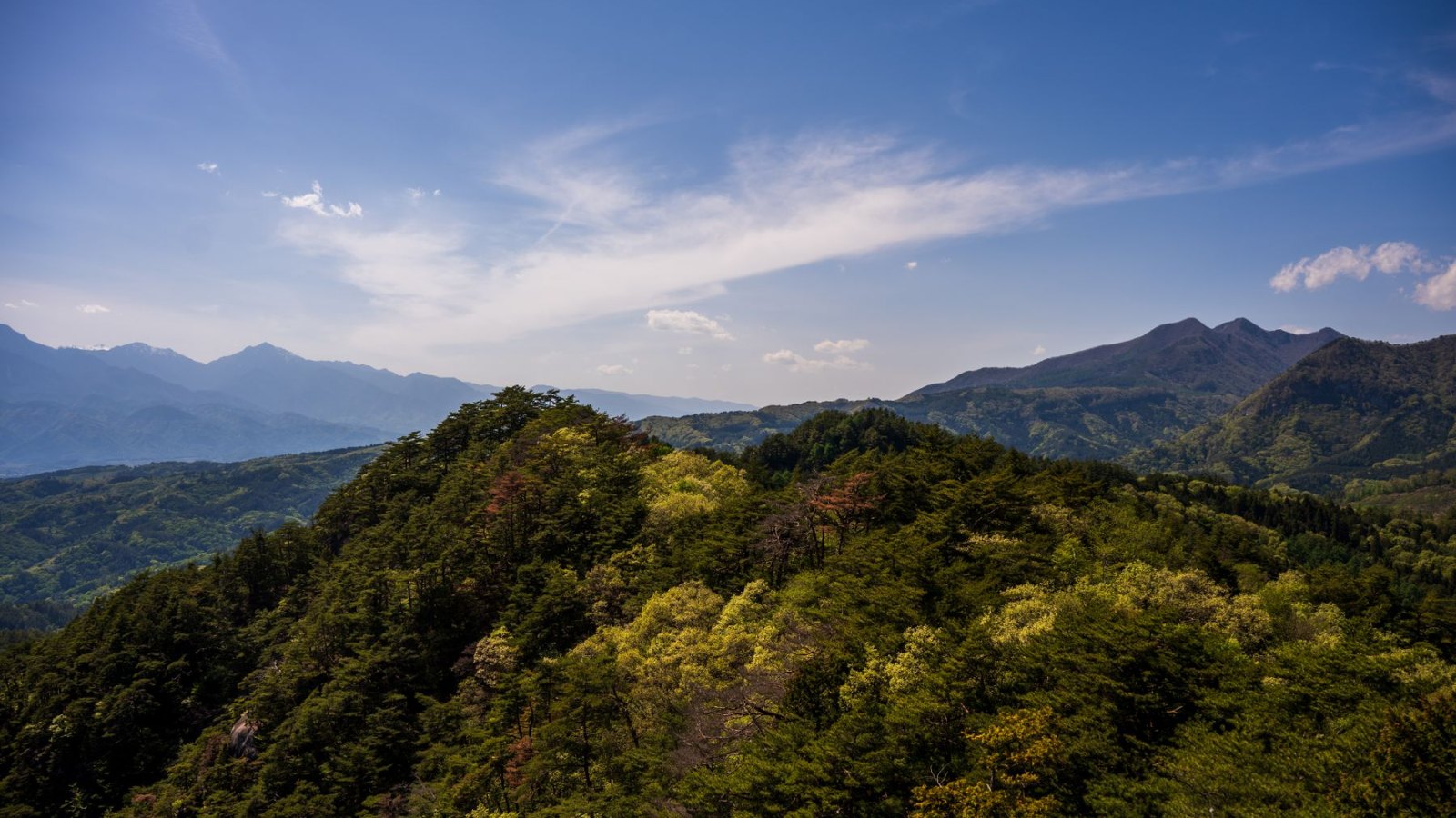 緑の山並みと青空
