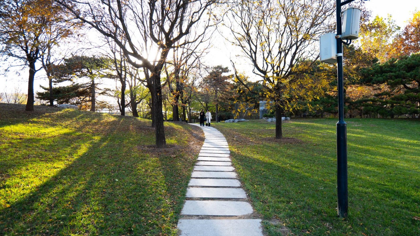 木もれ日の差す公園の小道