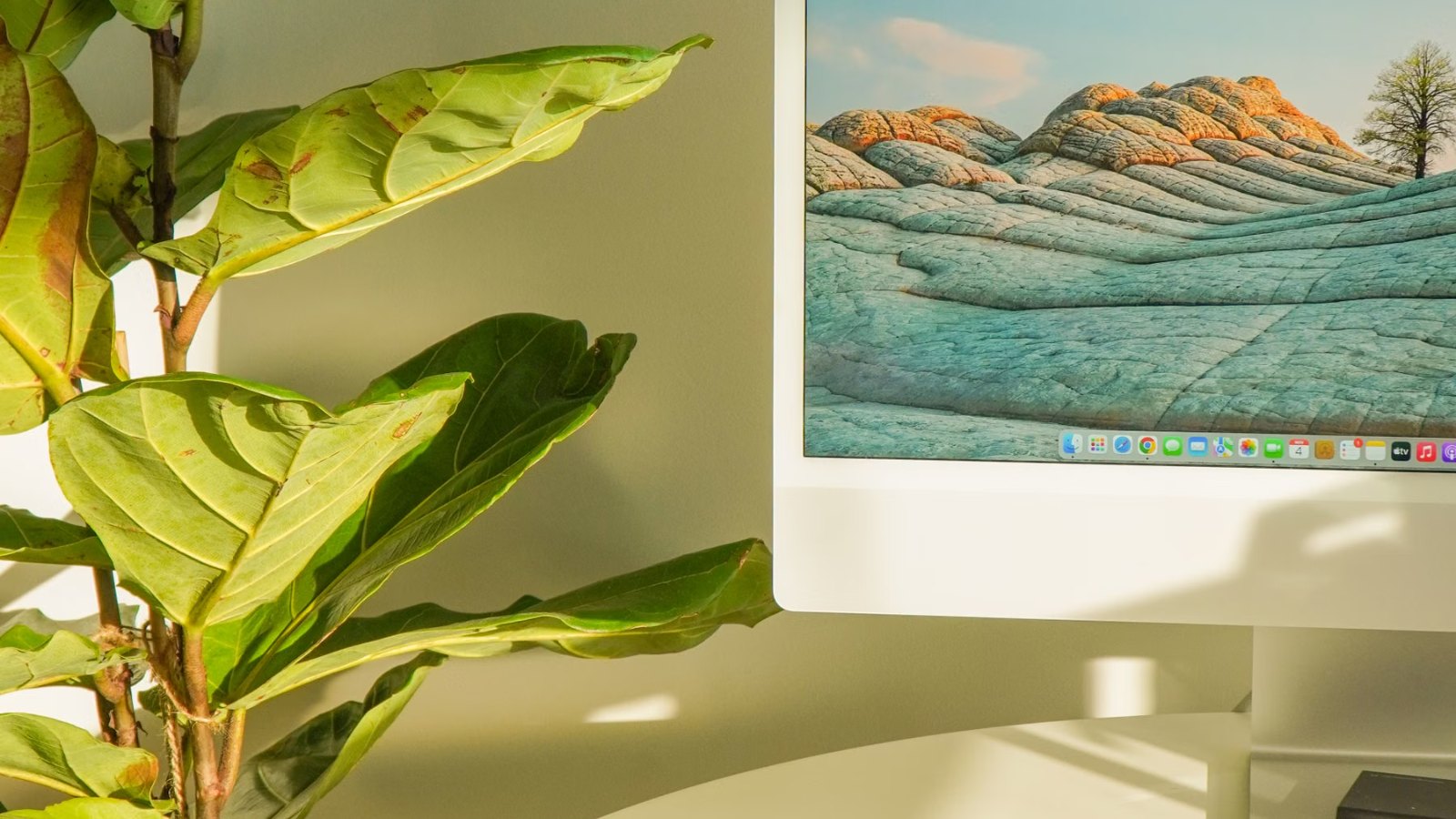 観葉植物と風景画のある明るい机