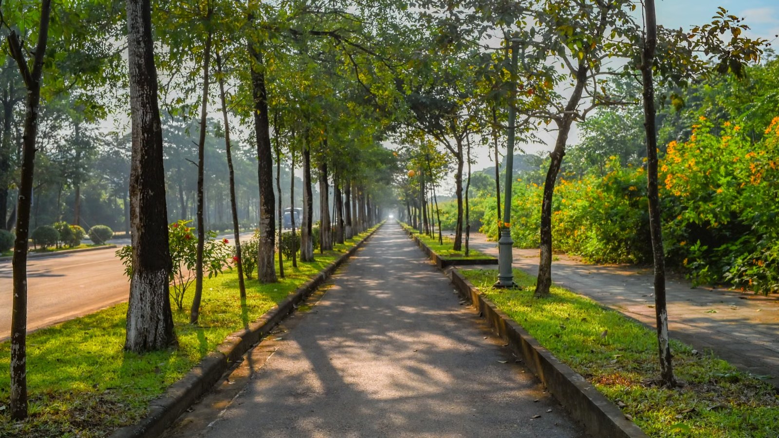 木もれ日の差す公園の小道
