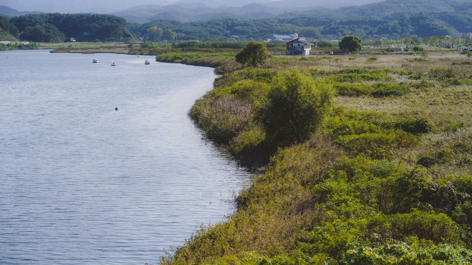 穏やかな川と土手の風景