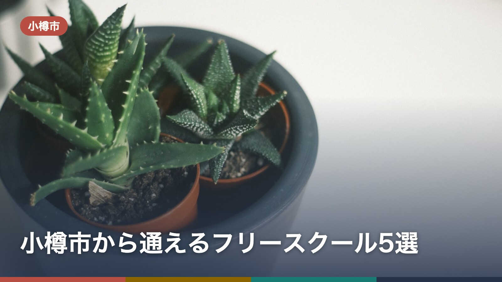 小樽市から通えるフリースクール5選