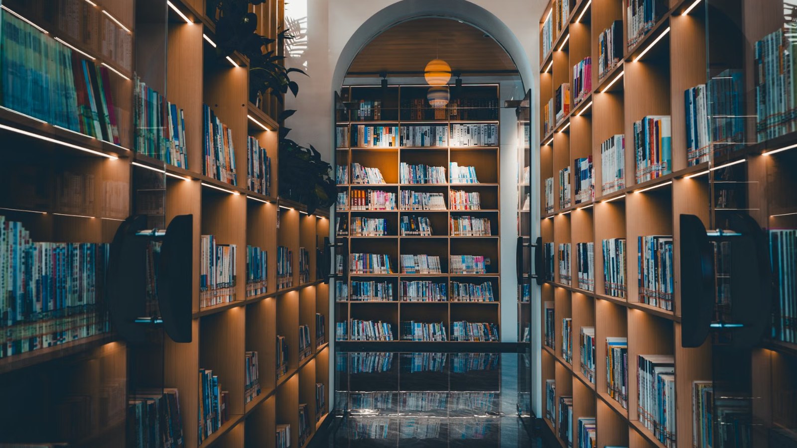 図書館の本棚
