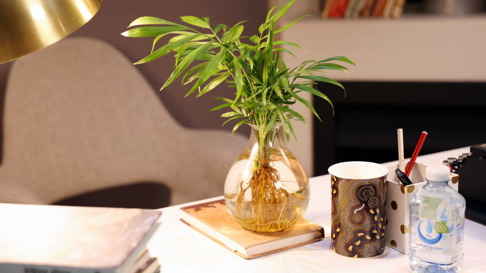 机の上の小さな植物