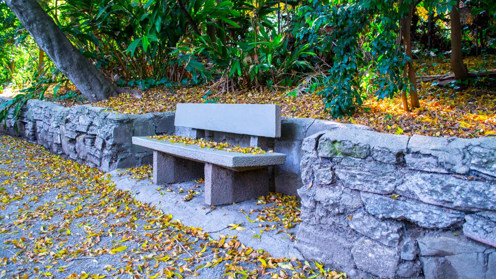 木々に囲まれた公園のベンチ