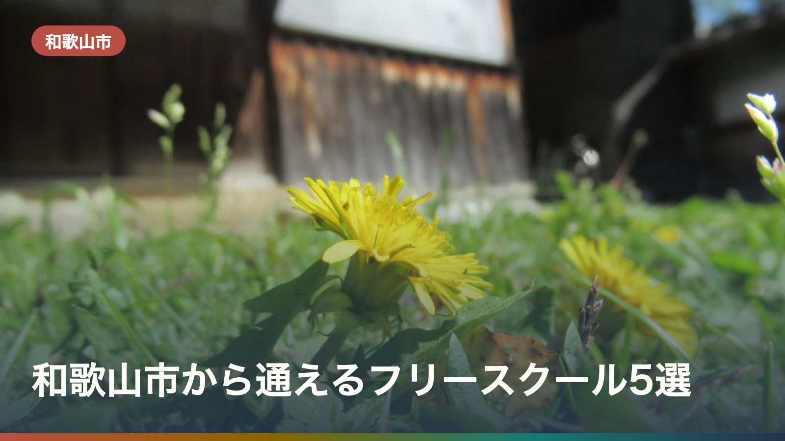和歌山市から通えるフリースクール5選