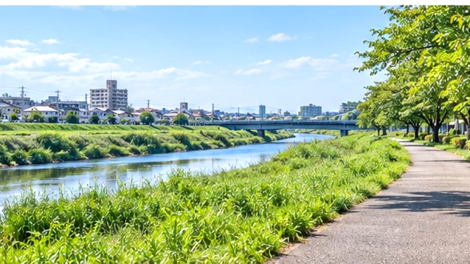 安城市の川辺と並木道をイメージした明るい風景