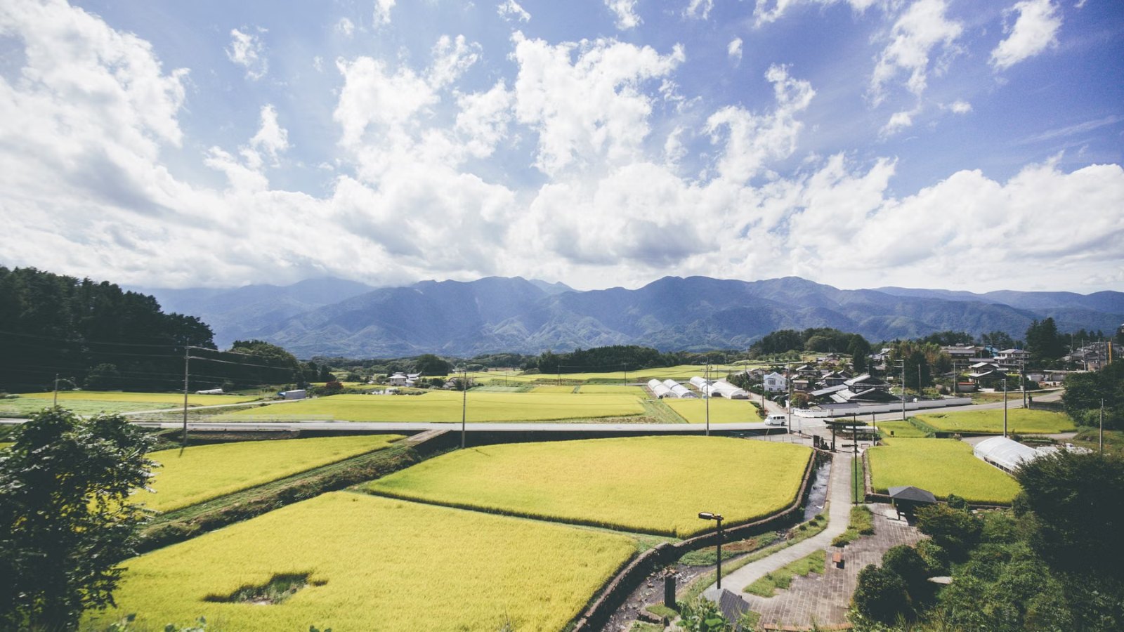 田んぼと集落が広がる田園の風景