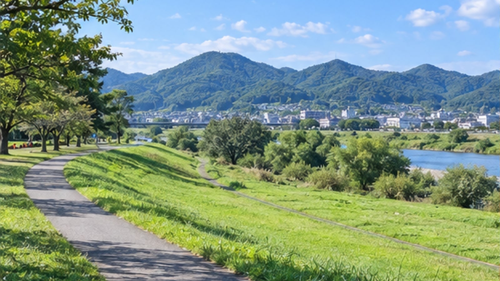 足利の川沿いに広がる緑地と散策路