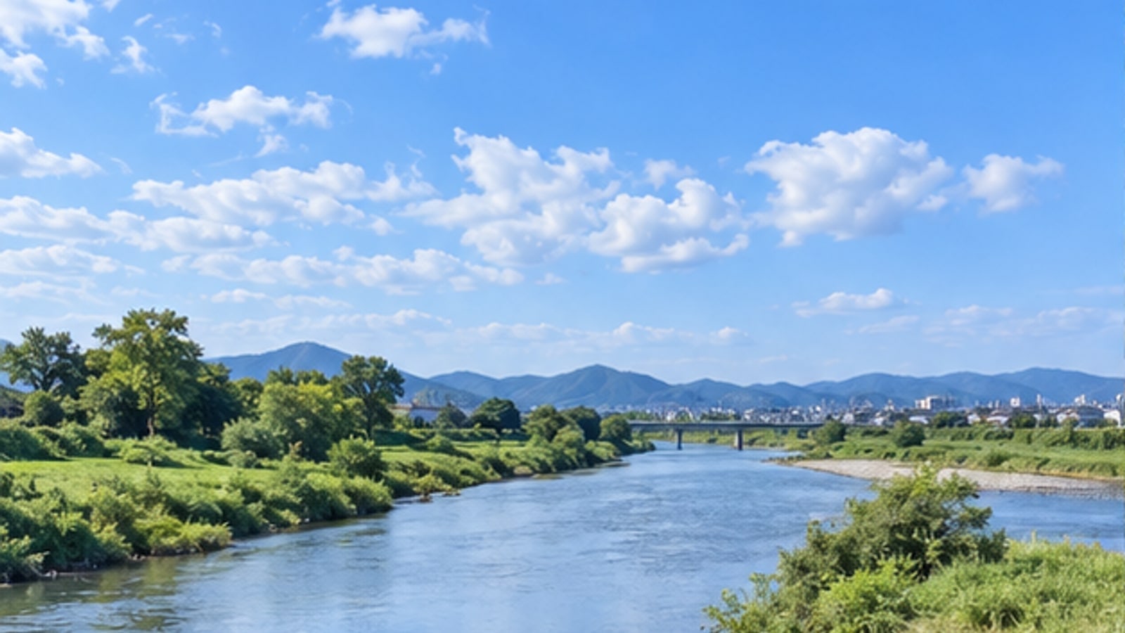 渡良瀬川と足利市街を望む明るい風景