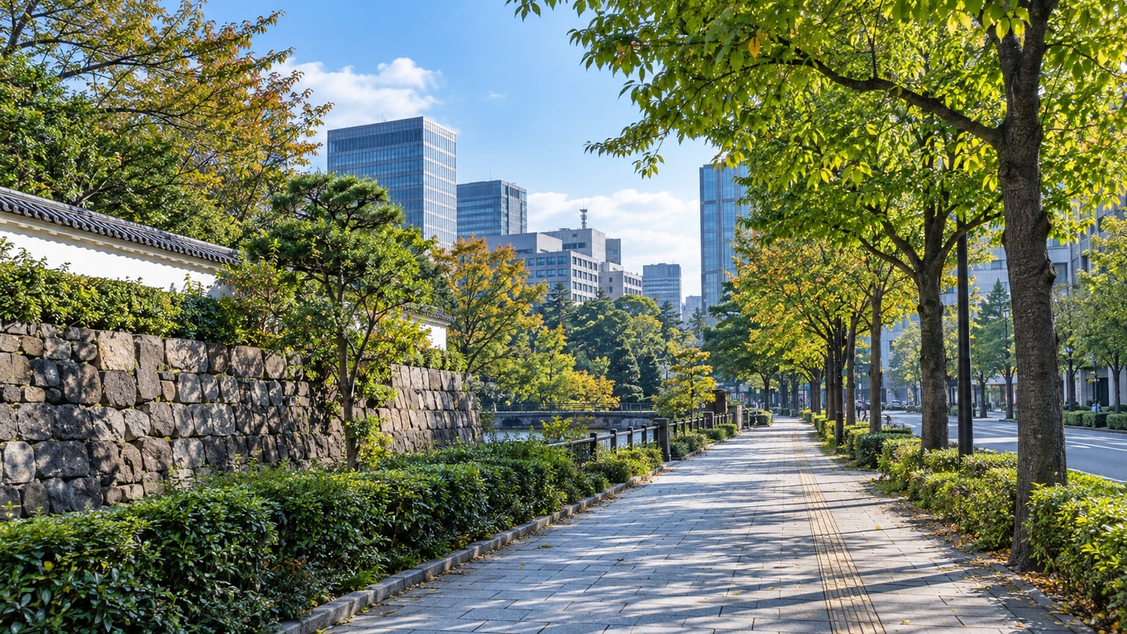 千代田区の街路と緑のイメージ