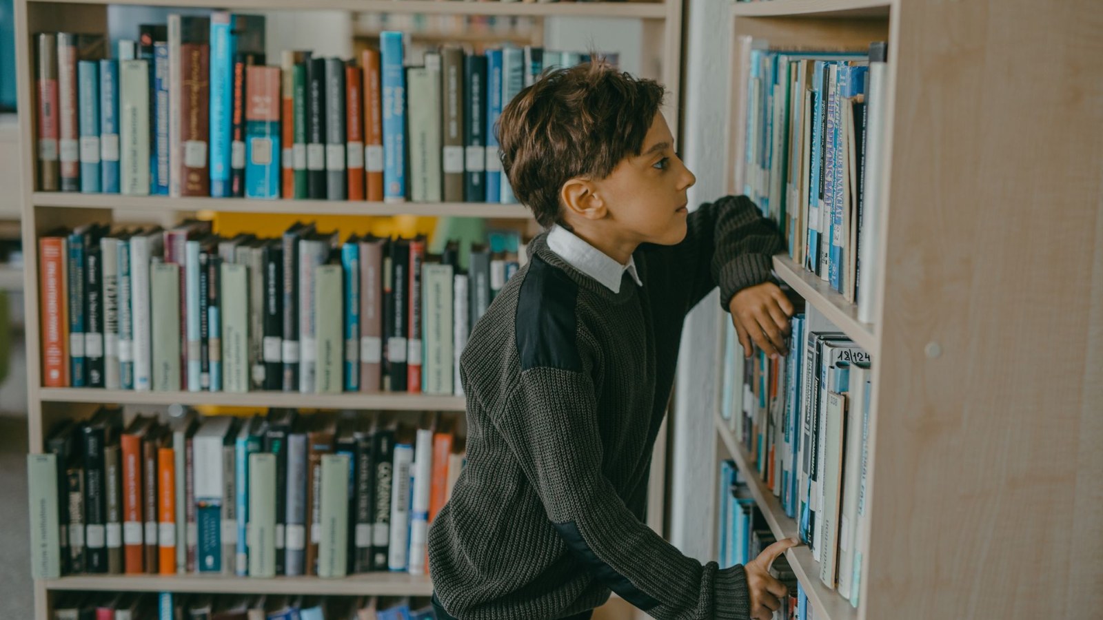図書館の本棚から本を選ぶ男の子
