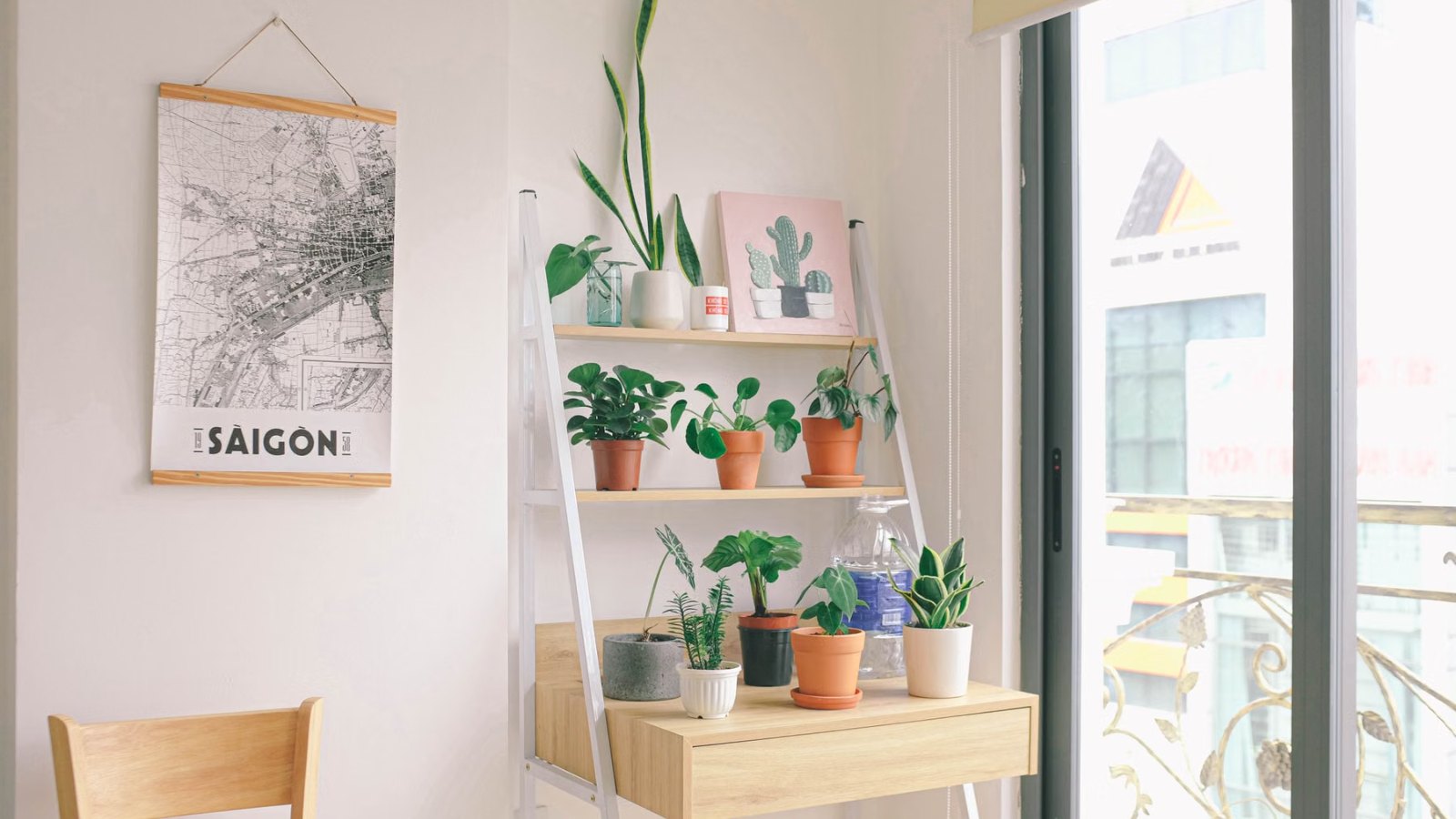 窓辺の棚に並ぶ観葉植物