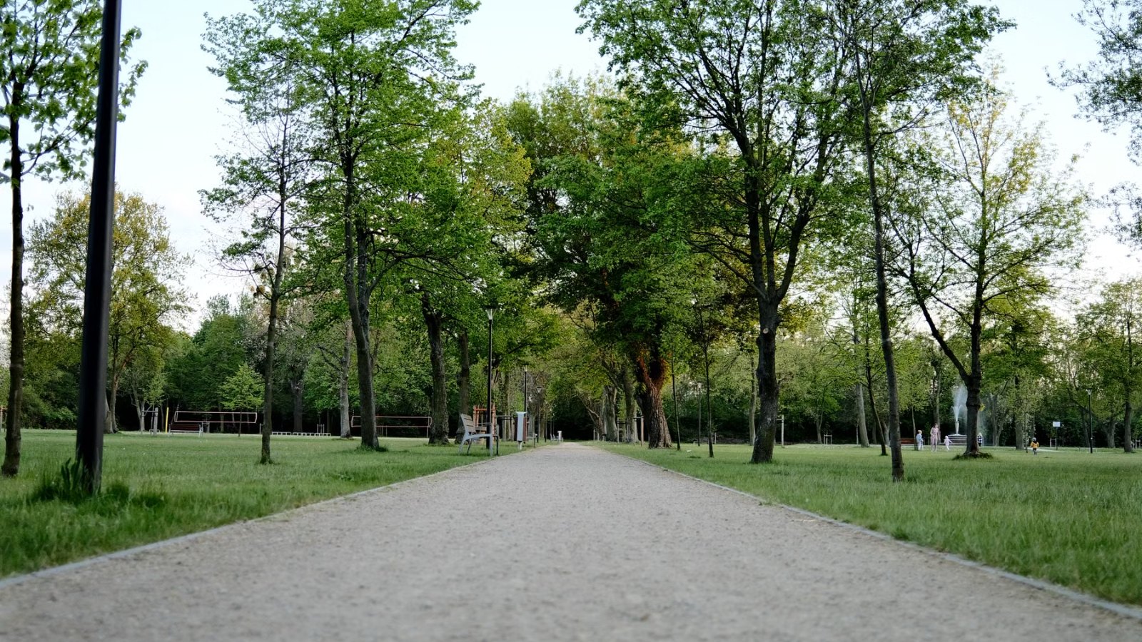 並木の下に続く、公園の小道