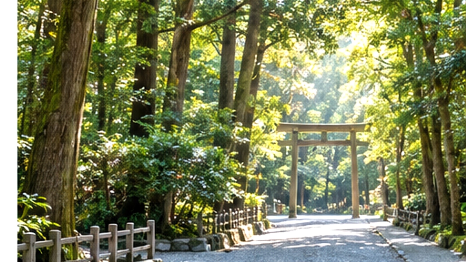 伊勢市の水辺と木々をイメージした風景