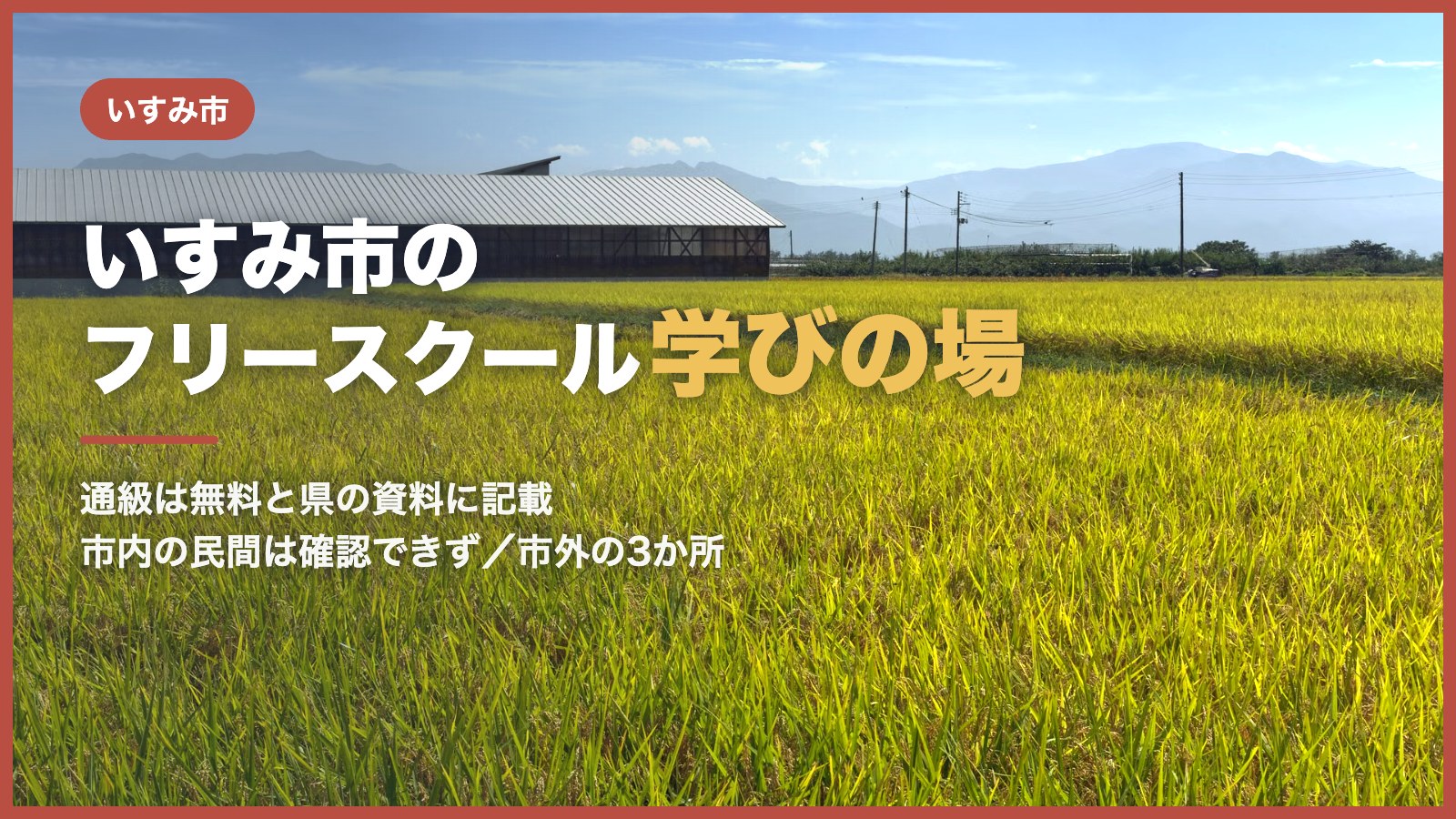 青空の下に広がる青々とした田んぼ