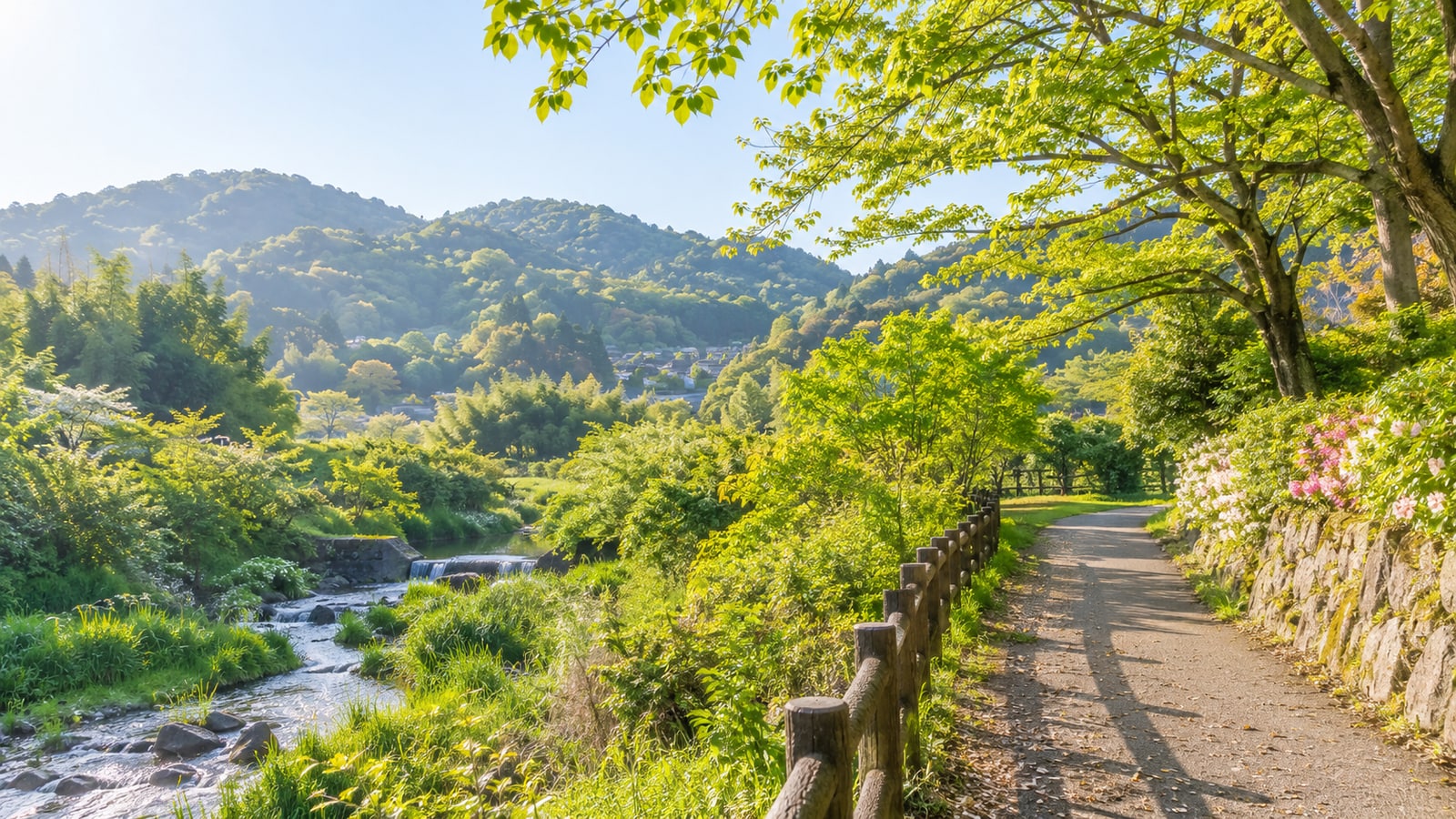 和泉市の緑の小道と木々が広がる明るい景色