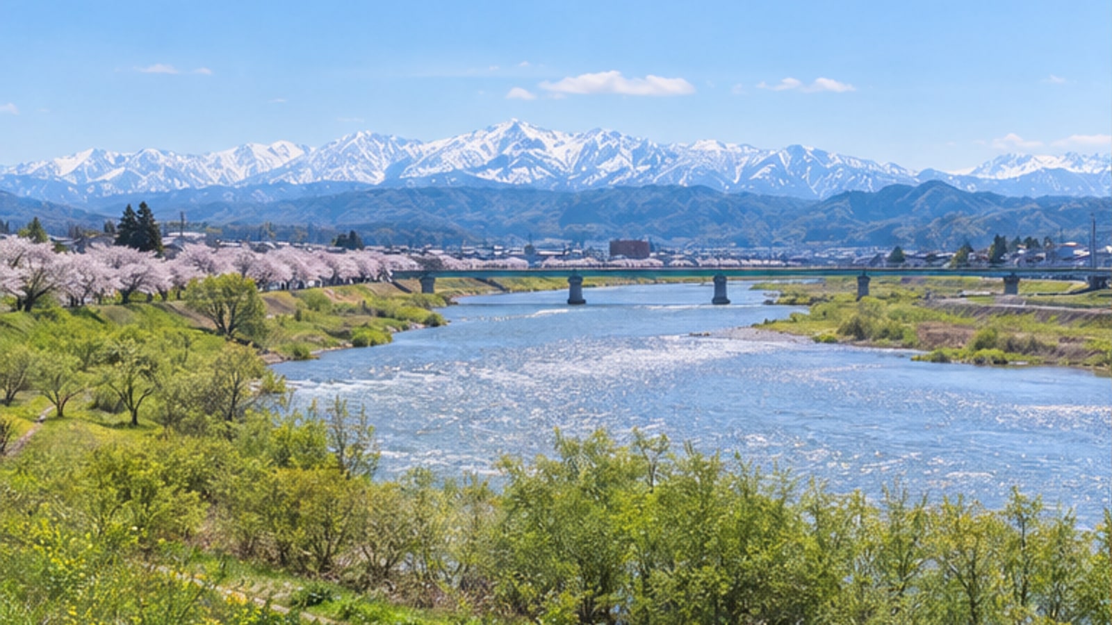 桜と雪山を遠景にした上越の川沿い