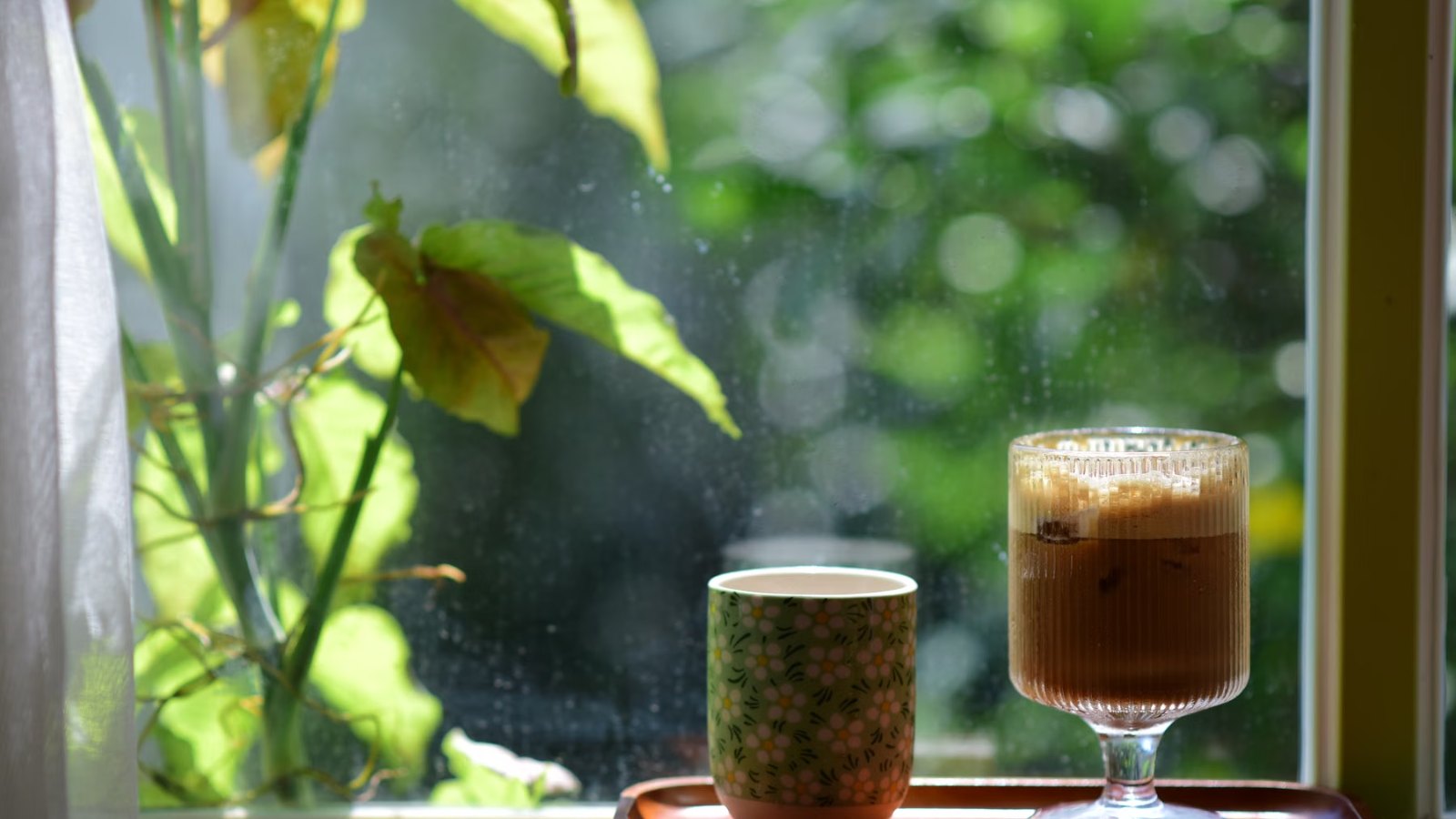 日の差す窓辺に置かれた、コーヒーカップと緑