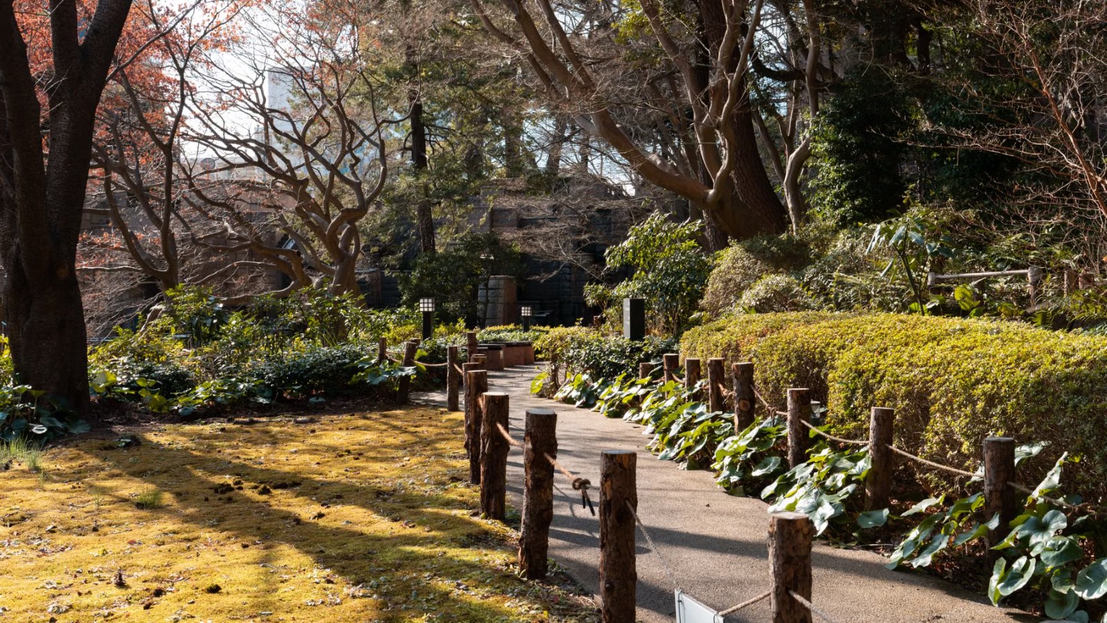 木々のあいだを抜ける遊歩道