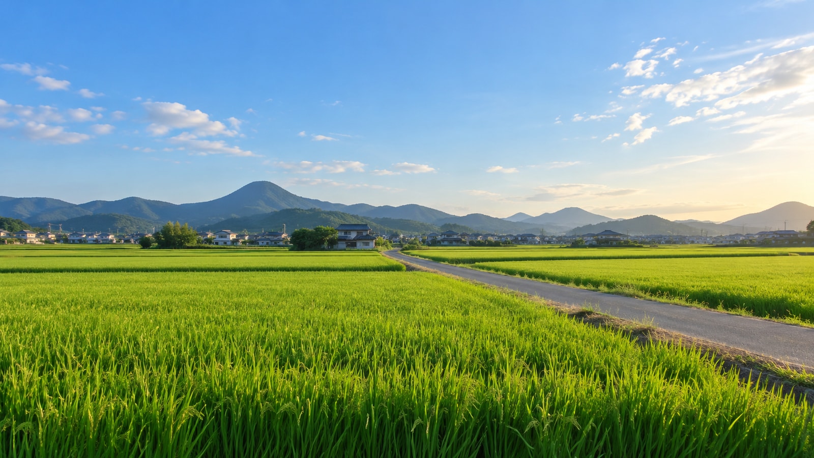 丸亀市街の先に讃岐の山並みと田園が広がる風景