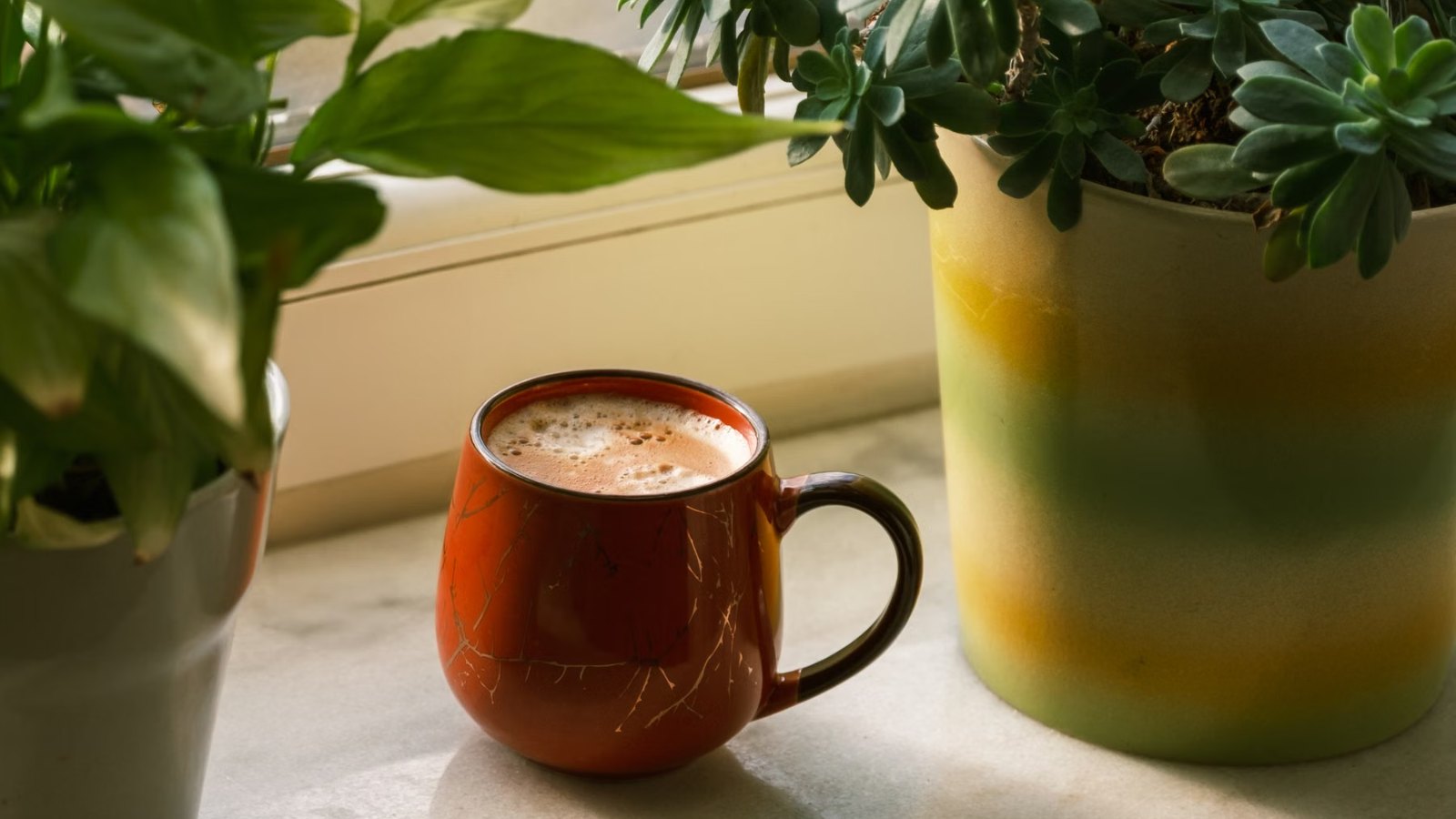 窓辺のテーブルに置かれた、コーヒーカップと観葉植物