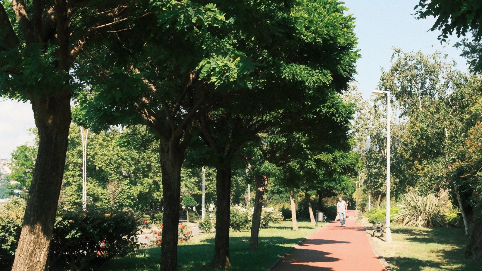 明るい日差しの中、木々に囲まれた公園の散歩道