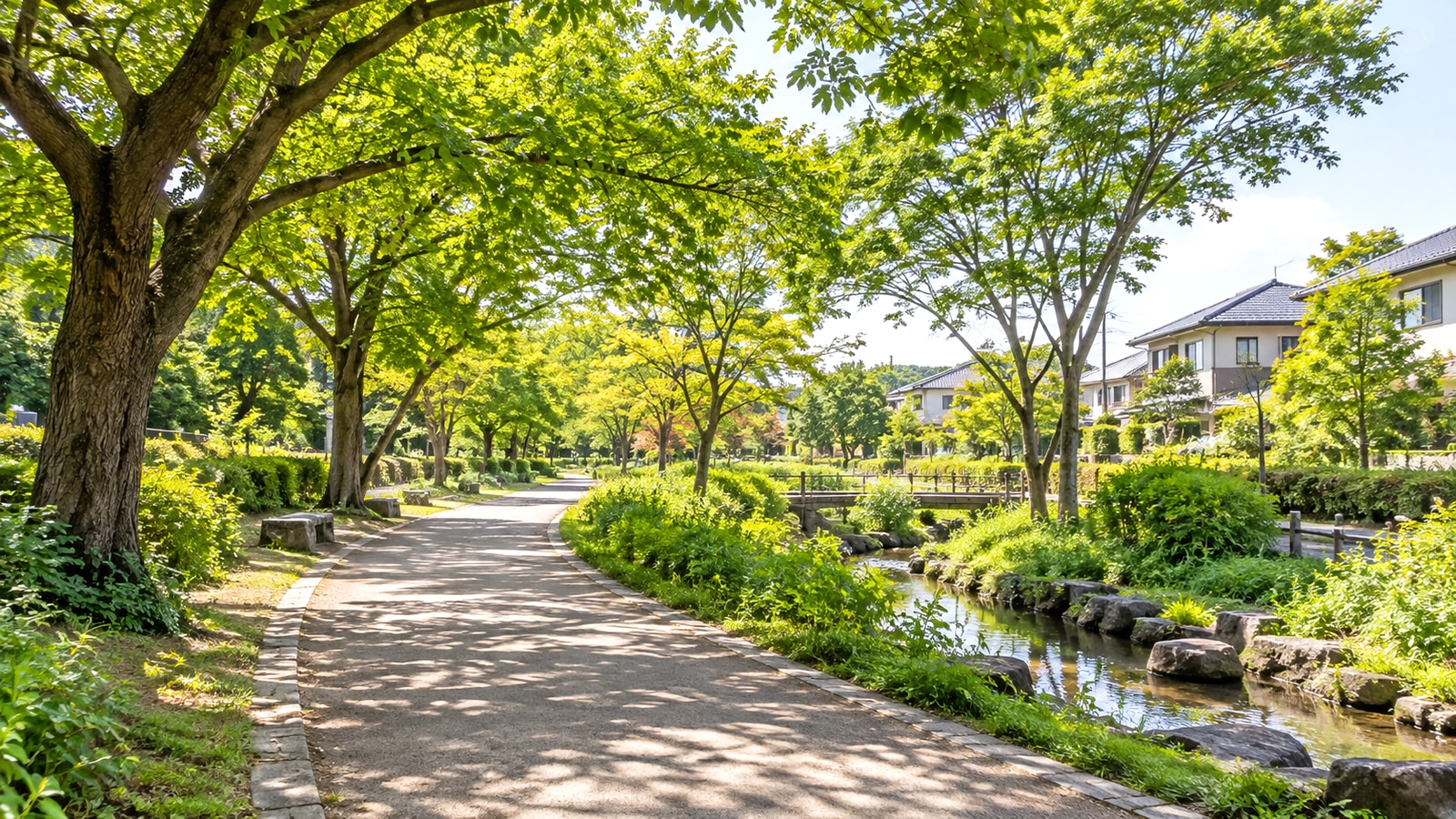 西東京市の公園と住宅街をイメージした晴れた風景