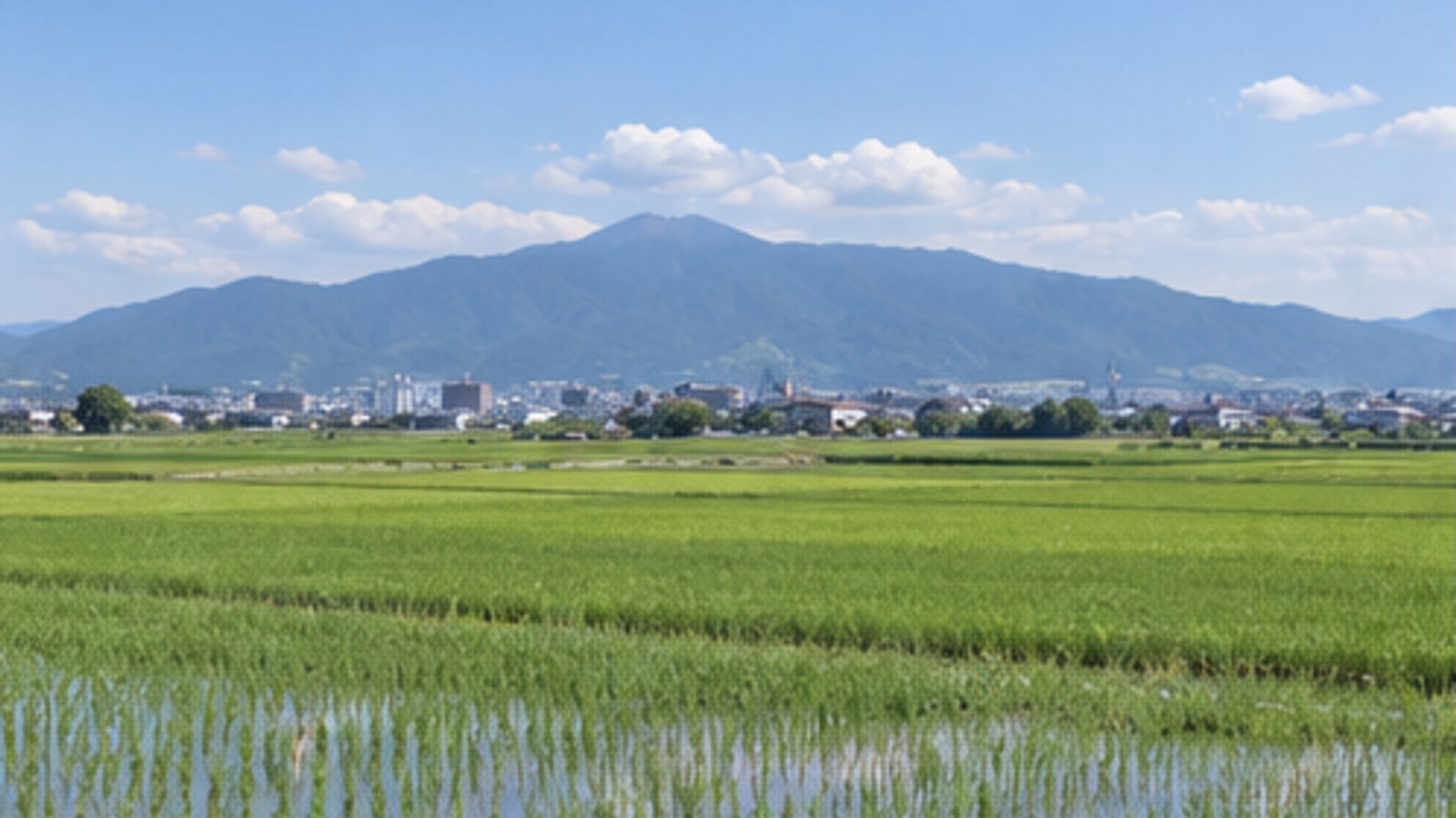 佐賀平野の水田と脊振山地を望む明るい景色