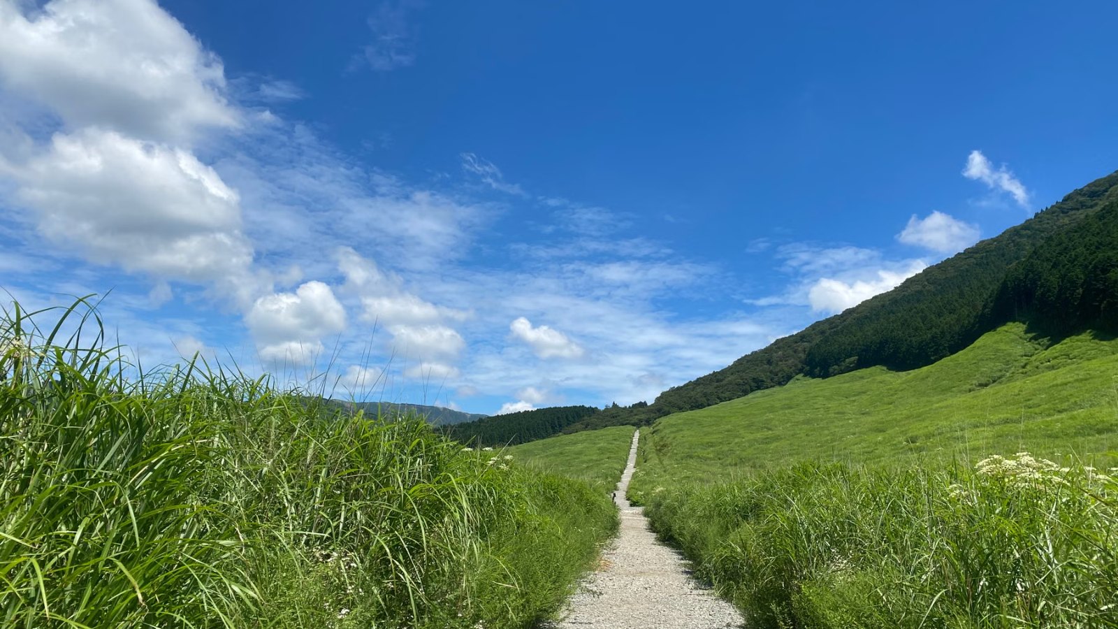 緑の丘へ続く砂利の小道