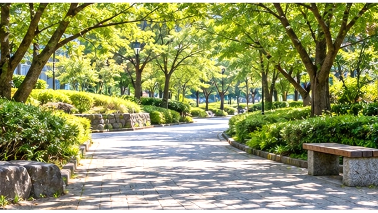 緑の並木が続く公園をイメージした風景