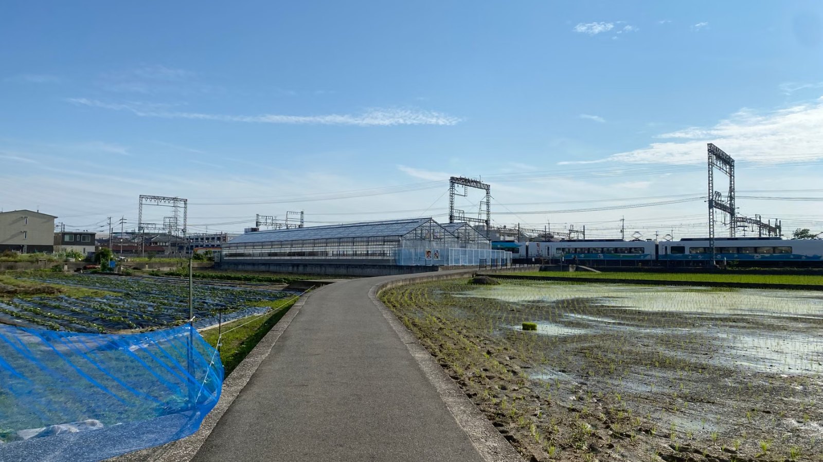 田園のなかを走る電車が見える静かな景色