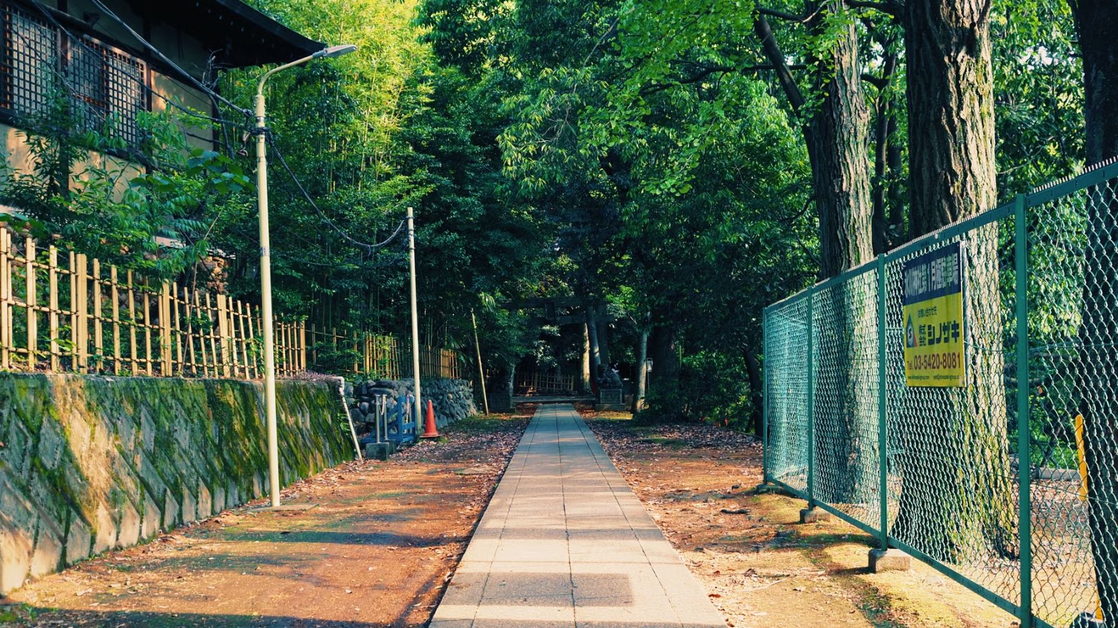 木漏れ日が差す公園の小道