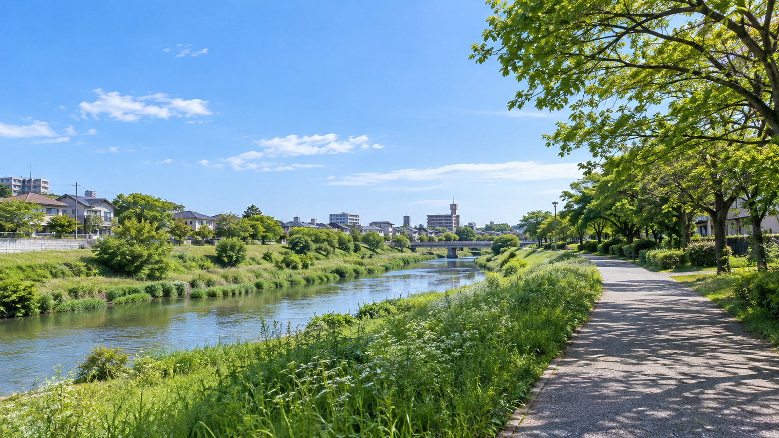 和光市の川辺と遊歩道をイメージした明るい風景