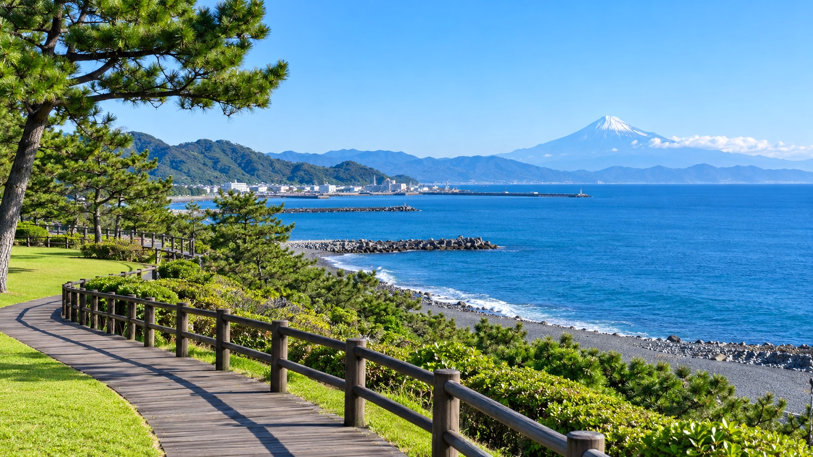 焼津市の海辺の緑地と駿河湾をイメージした明るい景色