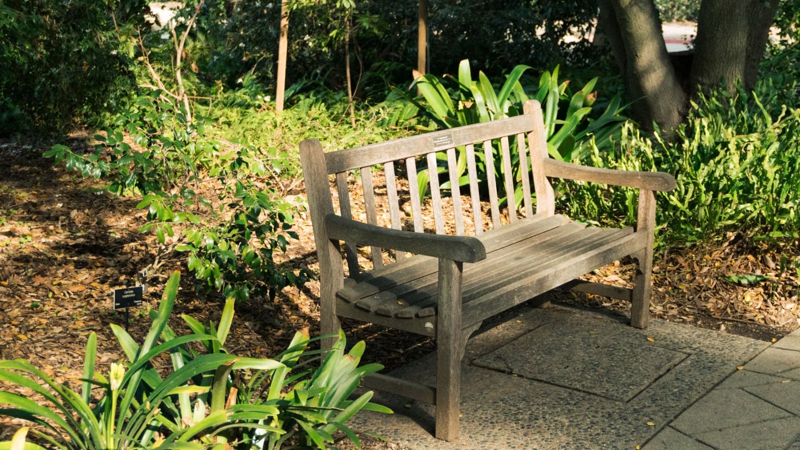 公園に置かれた、誰もいないベンチ